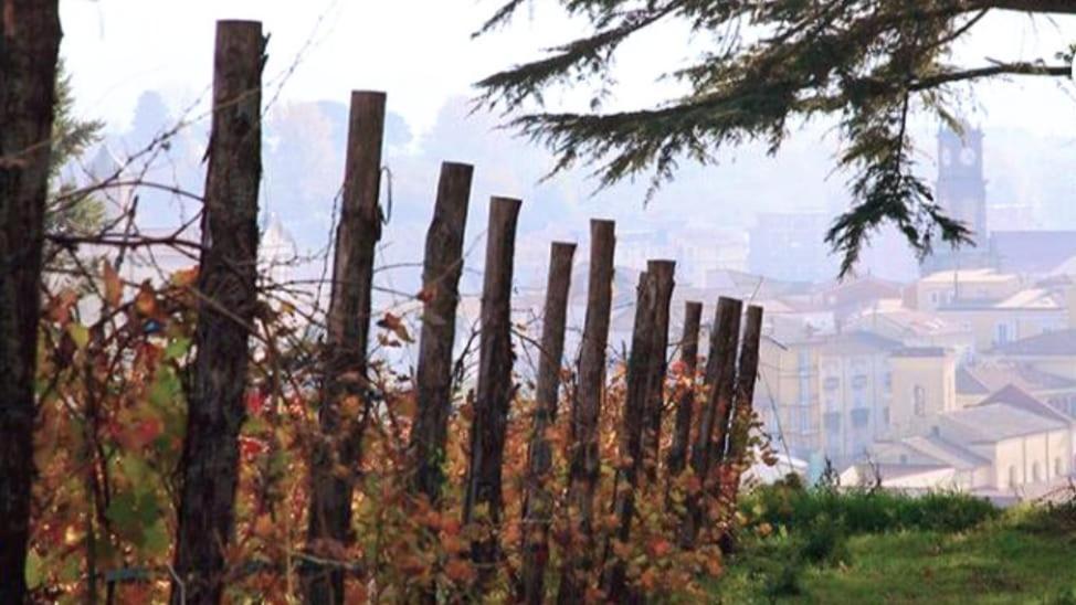Casa Sofia - Irpinia Lägenhet Avellino Exteriör bild
